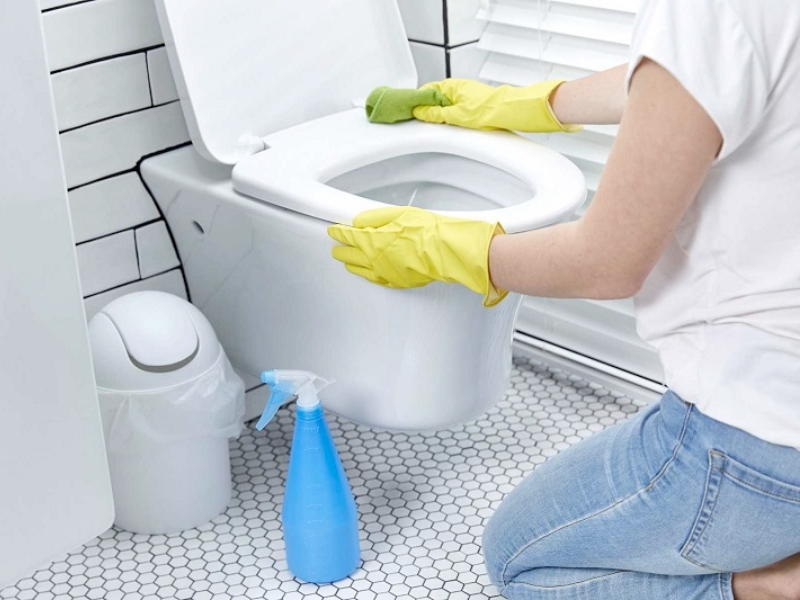 Hướng dẫn vệ sinh bồn cầu sạch 100% - Fuwa3e
