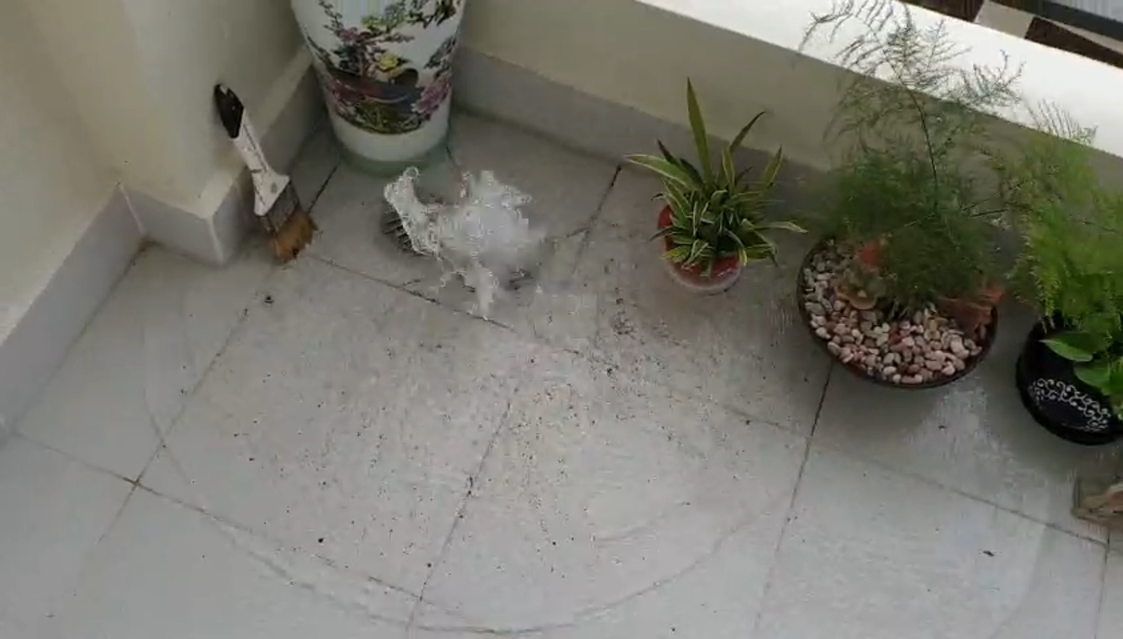 HIỆN TƯỢNG NƯỚC MƯA & NƯỚC THẢI TRÀO NGƯỢC - Trung Tâm Hướng Dẫn Và Đào Tạo M.E.P.C