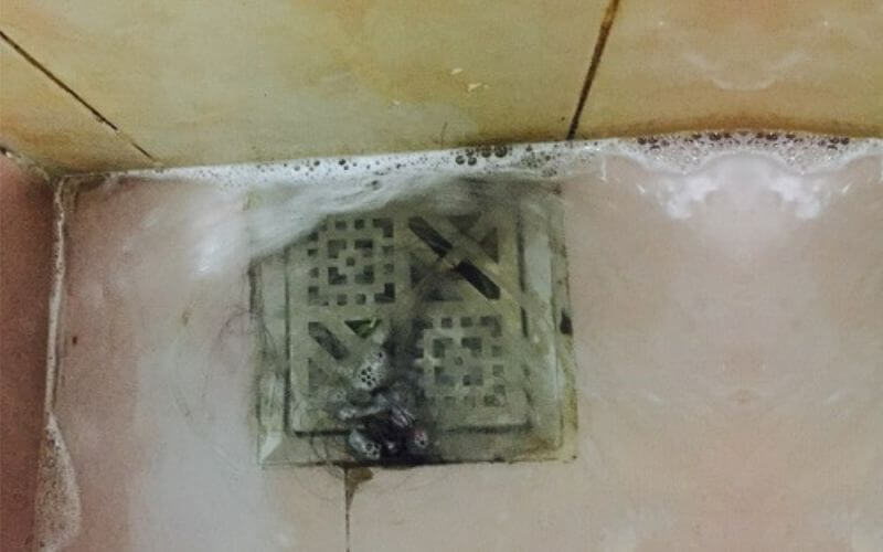 Dịch Vụ Hút Bể Phốt Tại Quảng Trị Giá Rẻ Của Maxclean 11 Cách Thông Tắc Cống Nhà Tắm Cực Kỳ Nhanh Chóng, Hiệu Quả