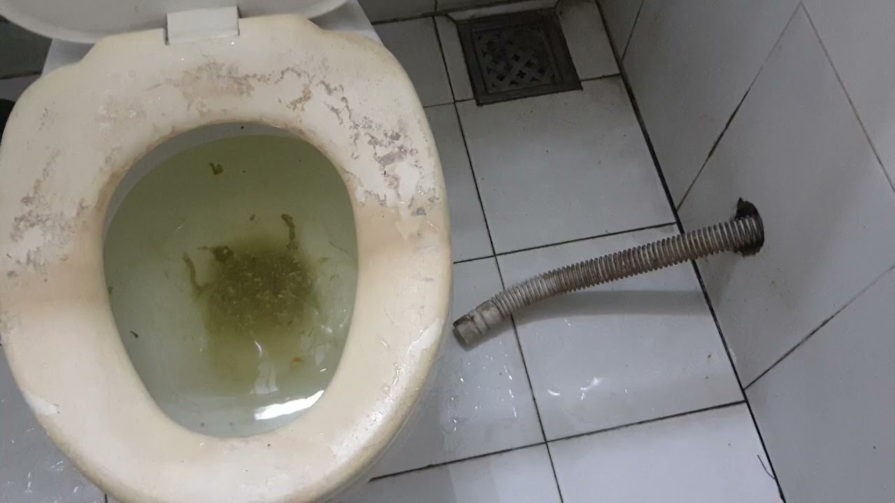 Dịch Vụ Hút Hầm Cầu Tại Cà Mau Của MaxClean Giá Rẻ 10 【MẸO】Phân biệt bồn cầu bị nghẹt hay hầm cầu bị đầy ❤️ ÍT NGƯỜI BIẾT ❤️