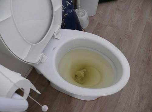 Dịch Vụ Hút Hầm Cầu Tại Lâm Đồng Của MaxClean Giá Rẻ 10 6 Cách Nhận Biết hầm cầu đầy nước và Cách Xử Lí - Góc chia sẻ