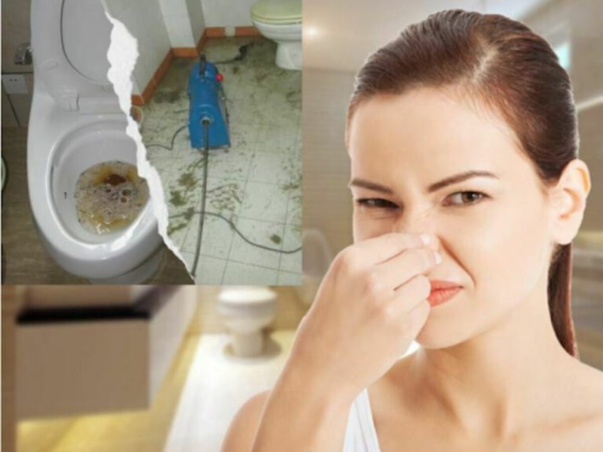 Dịch Vụ Hút Hầm Cầu Tại Ninh Bình Của Maxclean Giá Rẻ 10 Nhận Biết 5 Dấu Hiệu Bể Phốt Bị Đầy, Cách Tìm Ra Nguyên Nhân