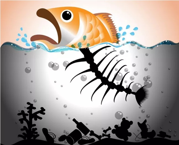 Nguyên Nhân và Hậu Quả Của Ô Nhiễm Nước, Giải Pháp 9 Các chất ô nhiễm sinh học và ảnh hưởng của nó